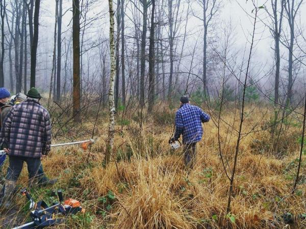 Natuurwerkdag in 't Asbroek © Samuel Stevens