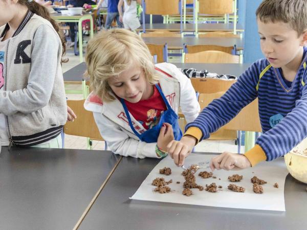 Chocoladekamp © Heyo Vakantiekampen