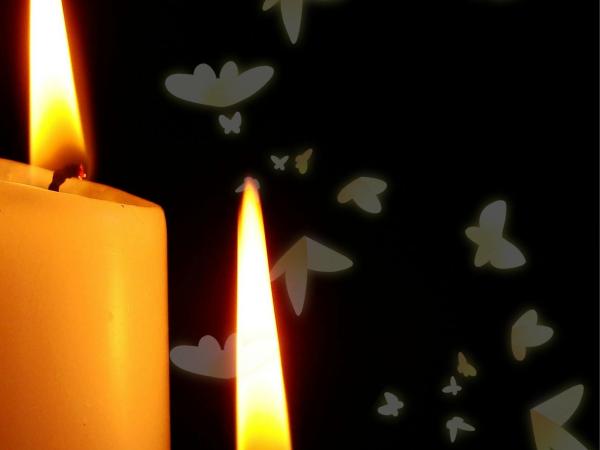 Wereldlichtjesdag in Schoten © Geme