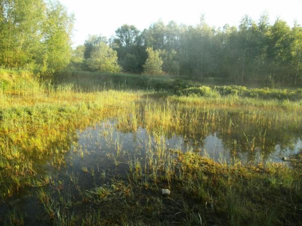 Lentewandeling in Het Wijtschot © Natuurpunt