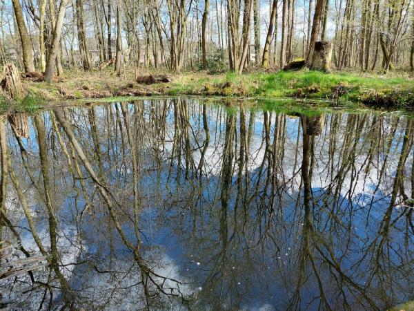 Winterwandeling Asbroek © Peter Van de Vijvere
