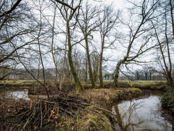 Lentewandeling Klein Schijn © Robin Fasseur