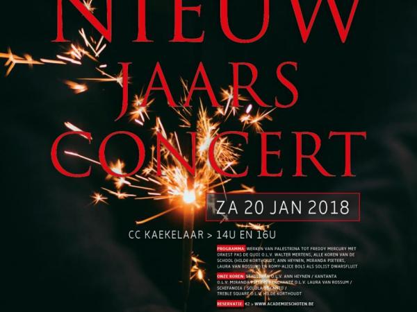 Nieuwjaarsconcert van klassiek tot pop
