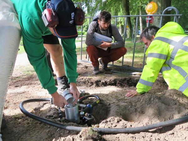 Ploffen om laanbomen te beschermen