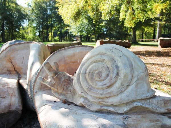 Oude boomstammen krijgen nieuw leven als picknickbank