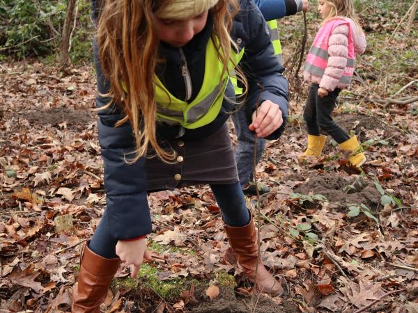 Leerlingen Burgemeester Marnixschool planten nieuwe bomen in gemeentepark