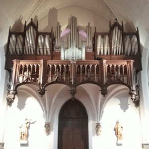 Orgel