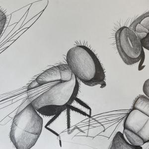 Oriëntatielab (18+)