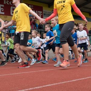Bekijk de fotoreportage van de scholencross