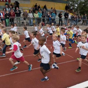 Bekijk de fotoreportage van de scholencross