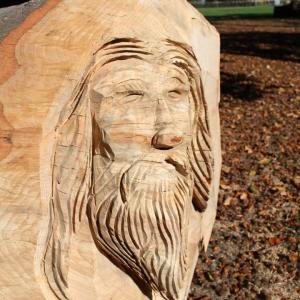 Oude boomstammen krijgen nieuw leven als picknickbank